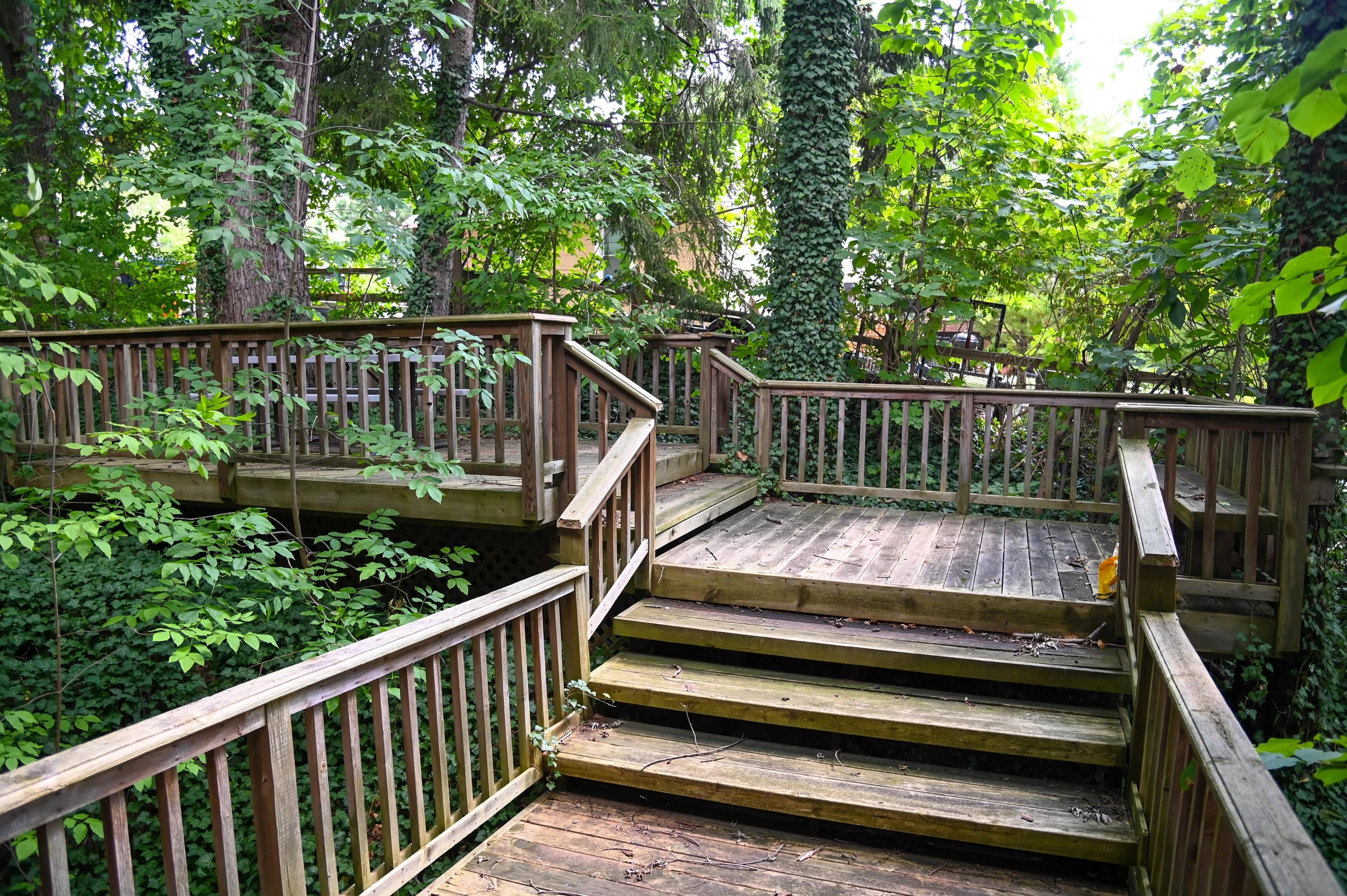 Wooden deck and steps surrounded by trees