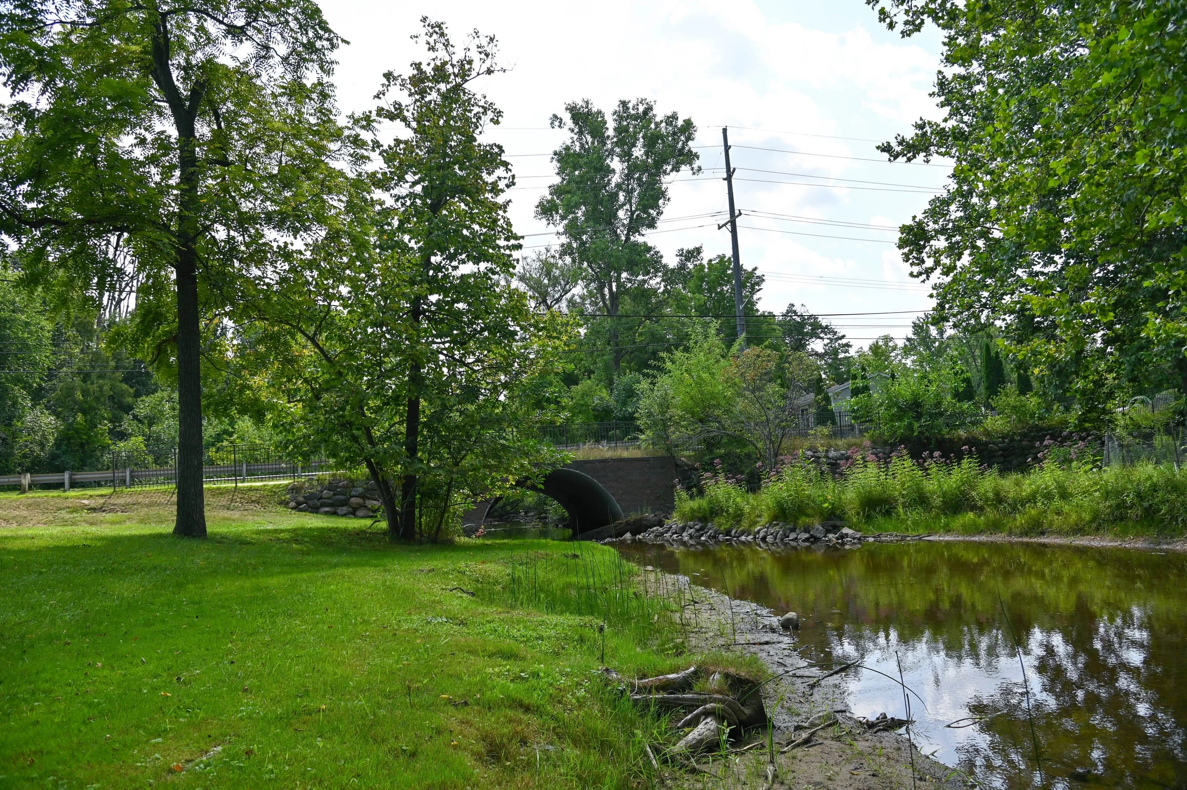 Green lawn beside Paint Creek