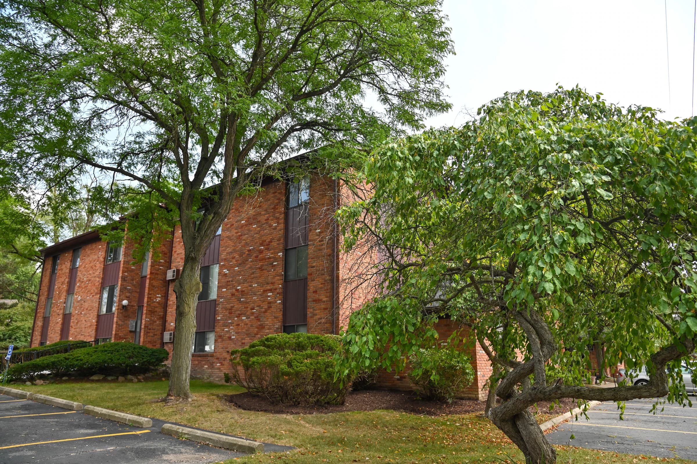 Mature trees shading the apartment grounds